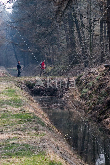 Boswachterij Hardenberg