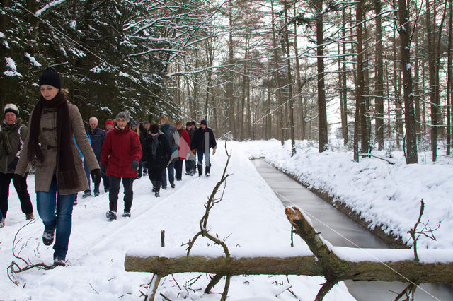 Boswachterij Hardenberg