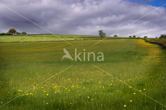 Brecon Beacons National Park