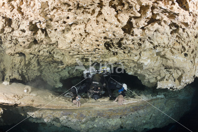 Chac Mool cenote