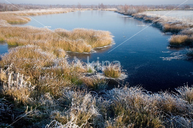 Engbertsdijksvenen