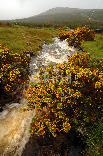 Isle of Skye