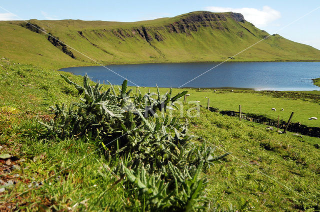 Isle of Skye