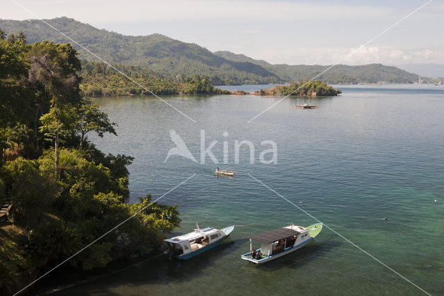 Lembeh Resort