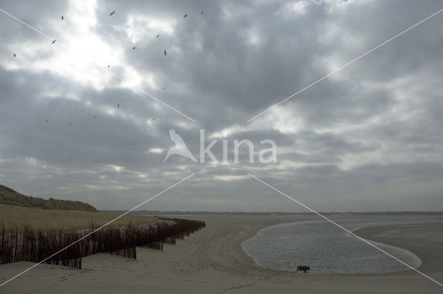 Nationaal Park Duinen van Texel