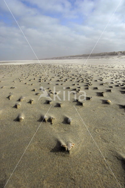 Nationaal Park Duinen van Texel