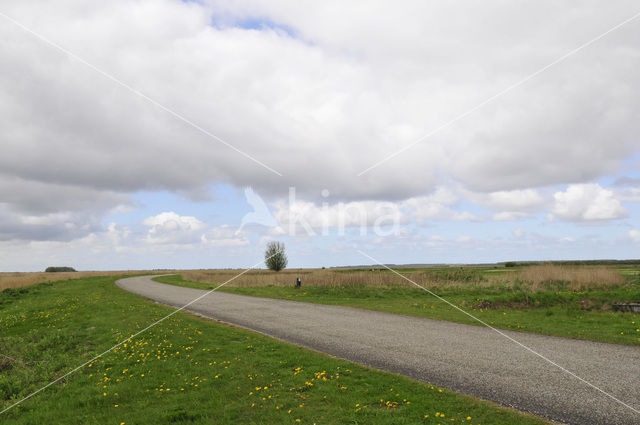 Nationaal Park Lauwersmeer