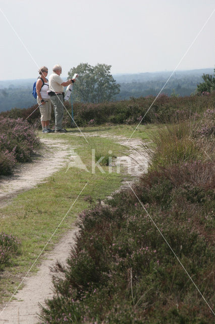 Nationaal Park Sallandse Heuvelrug