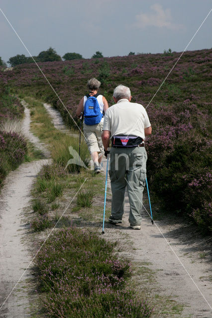 Nationaal Park Sallandse Heuvelrug