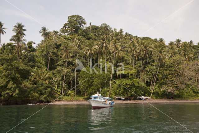 Straat Lembeh