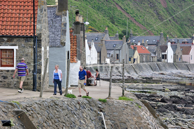 Crovie