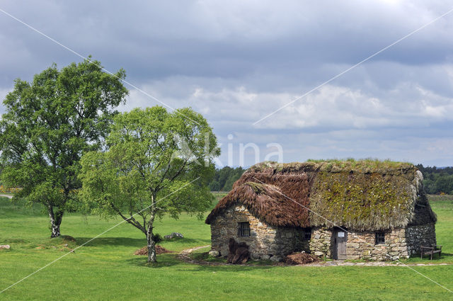 Culloden