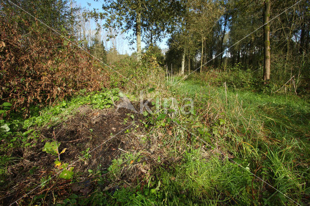 De Mortelen en Heerenbeek