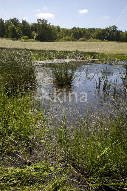 Naturpark Feldberger Seenlandschaft