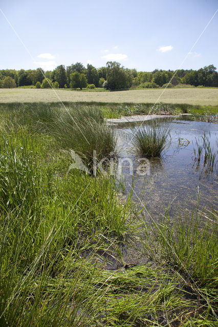 Naturpark Feldberger Seenlandschaft