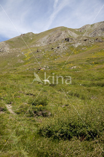 Parc Naturel Régional du Queyras