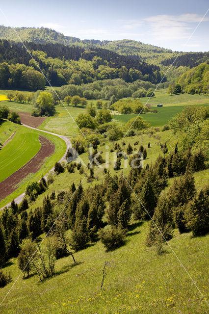 Roßbach (Witzenhausen)