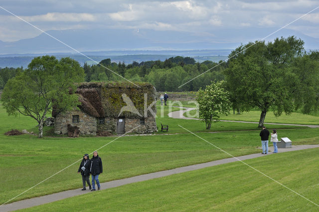 Culloden battlefield