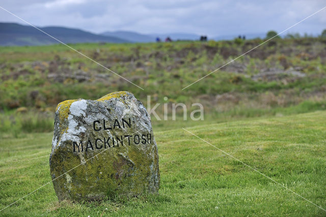 Culloden battlefield