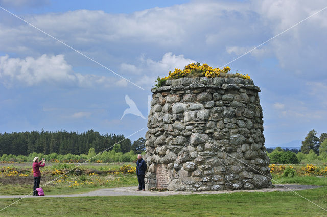 Culloden battlefield