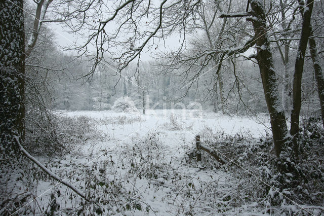 De Mortelen en Heerenbeek