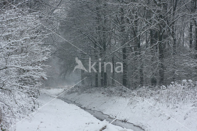 De Mortelen en Heerenbeek