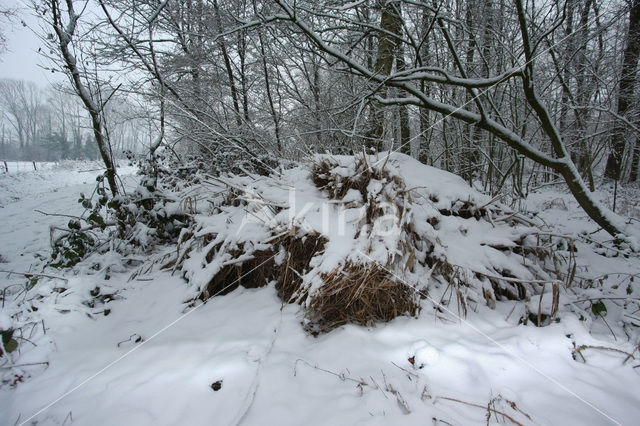 De Mortelen en Heerenbeek