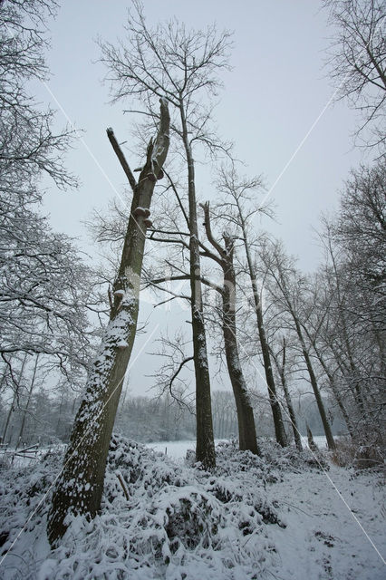 De Mortelen en Heerenbeek