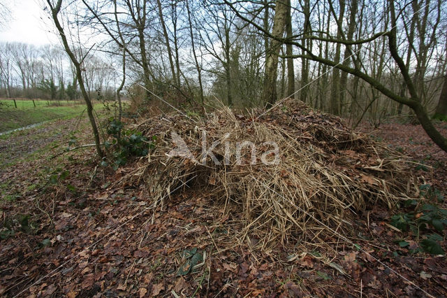 De Mortelen en Heerenbeek