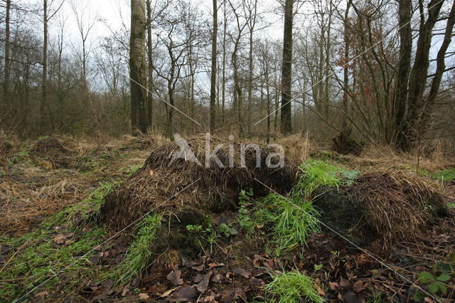 De Mortelen en Heerenbeek