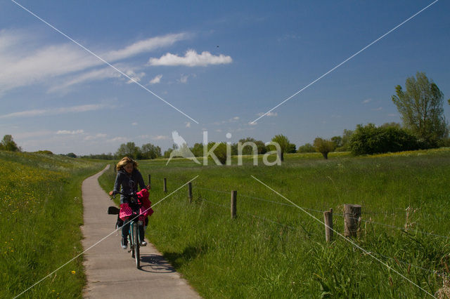 IJssel