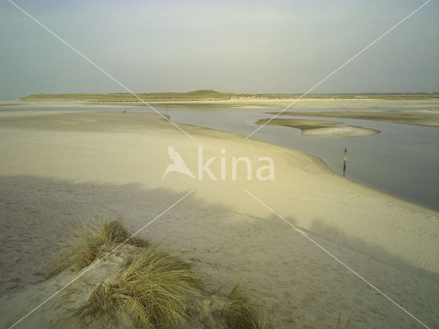 Nationaal Park Duinen van Texel