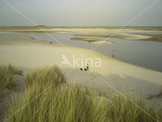 Nationaal Park Duinen van Texel