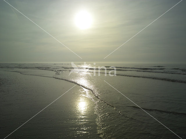 Nationaal Park Duinen van Texel