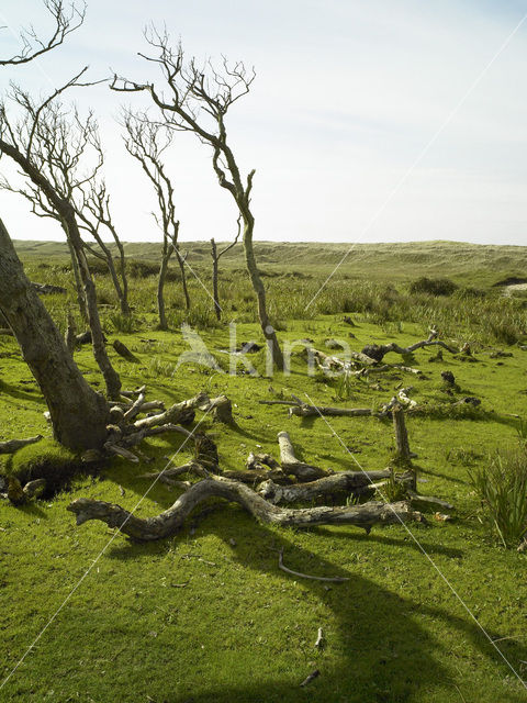 National Park Duinen van Texel