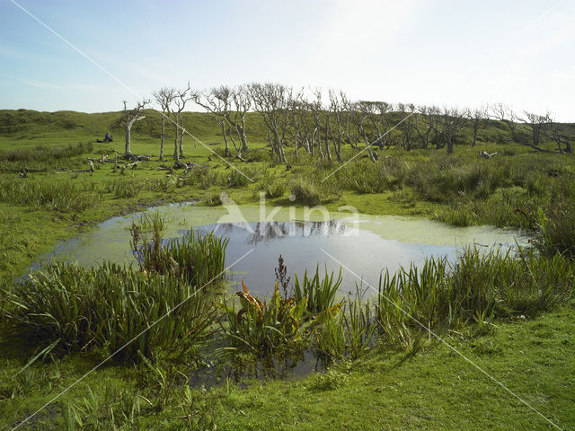 Nationaal Park Duinen van Texel