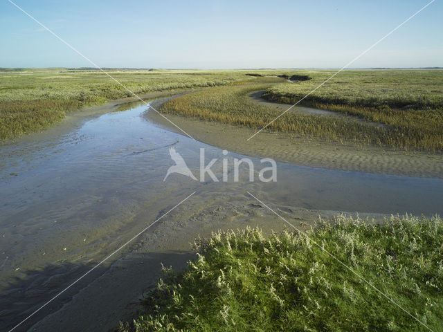 Nationaal Park Duinen van Texel