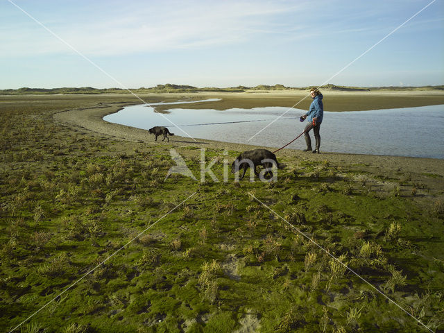 Nationaal Park Duinen van Texel