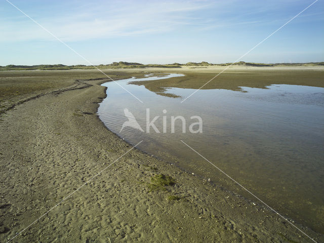 Nationaal Park Duinen van Texel