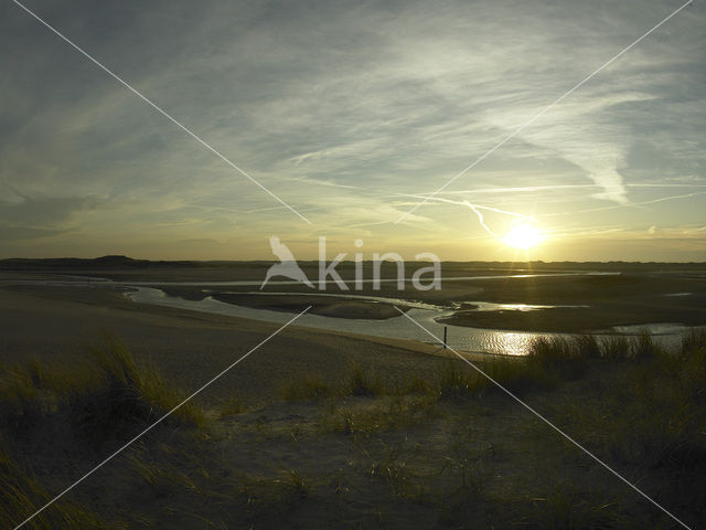 Nationaal Park Duinen van Texel