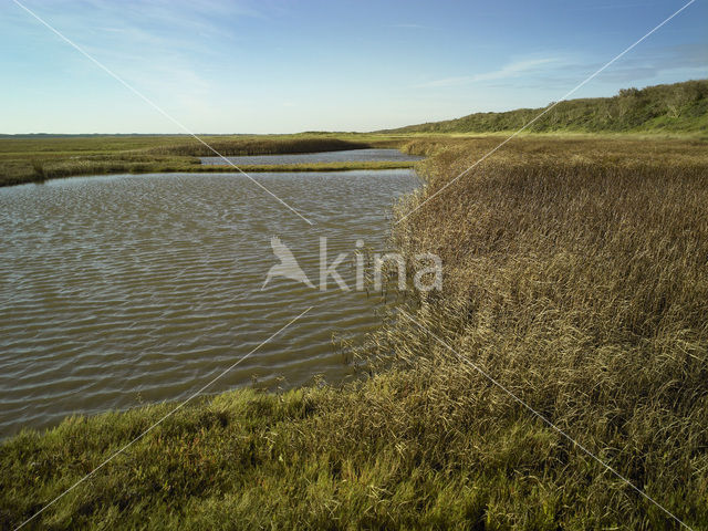 Nationaal Park Duinen van Texel