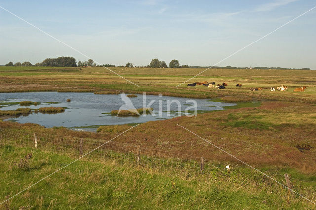 National Park Oosterschelde