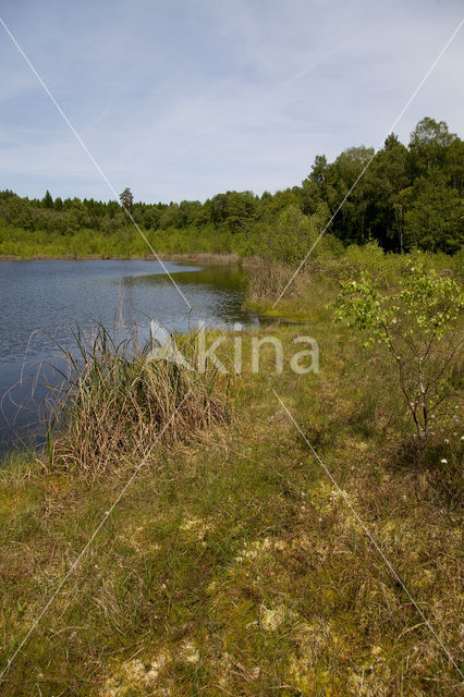 Naturpark Feldberger Seenlandschaft