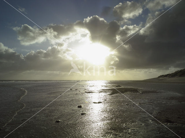 Noordzeestrand