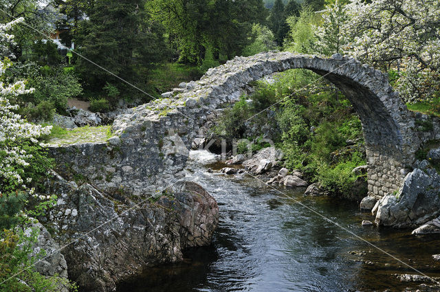 old Packhorse bridge