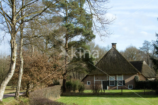 Schoonebeek