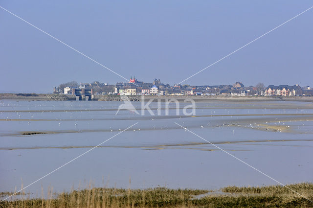 Baai van de Somme