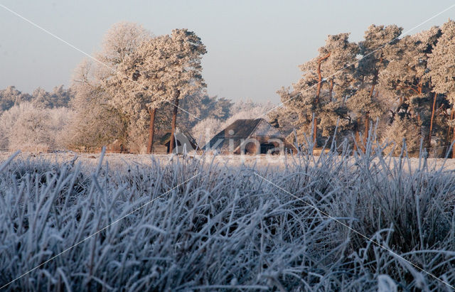 Eerderachterbroek