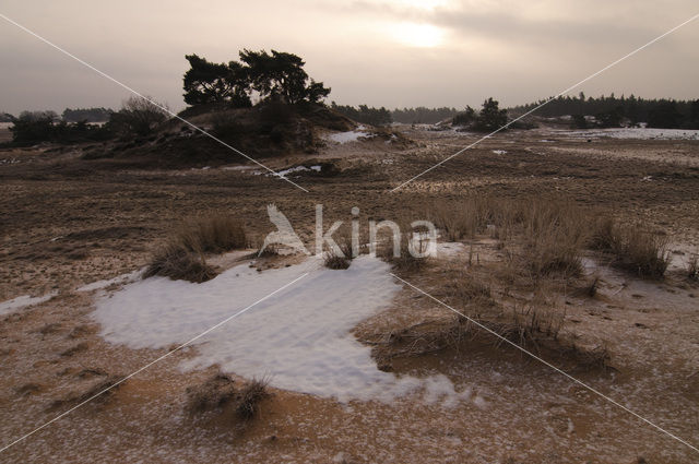 Kootwijkerzand