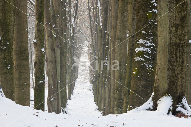 Nationaal Park Veluwezoom